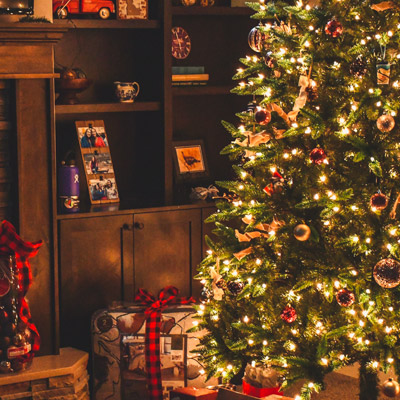 MENÙ DI NATALE 2025